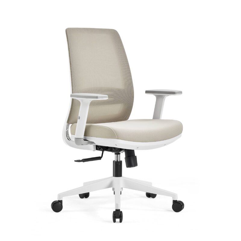 Berlin Ergonomic Chair