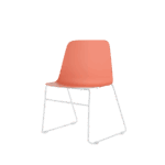 Salmon Shell