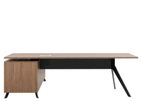 Delta Deluxe Executive with Storage - Image 3