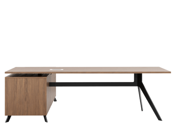 Delta Deluxe Executive with Storage - Image 4