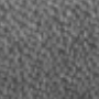 Mild Grey